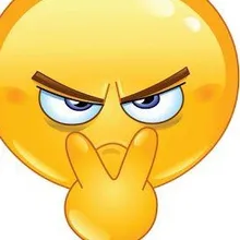 v***n