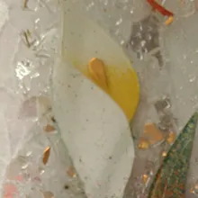 B***i