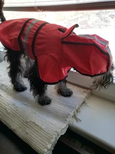 Jumpsuit Hoodies Pet-Coat Rain-Jacket Reflective French-Bulldog-S-2xl Waterproof Medium