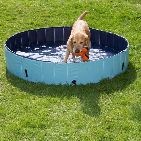 Oprechtheid Vochtigheid Uitroepteken Dog Pool, 160x30 cm, blue/Blue|Houses, Kennels & Pens| - AliExpress