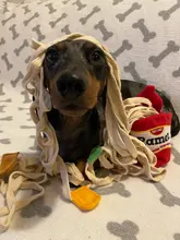 Training-Toy Toys Puzzle Noodle-Shape Puppy-Dog Nosework Dogs Leaking Funny Sniffing