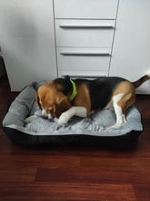 Pet-Bed House Kennel-Mat Puppy Washable Small Warm Large Dog Soft Cotton Medium Bone