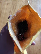 Led-Connectors Led-Strip-Light 4pin JST 5pin Male 6pin for 3528 5pair--100pairs-3pin