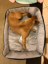 Pet-Bed House Kennel-Mat Puppy Washable Small Warm Large Dog Soft Cotton Medium Bone