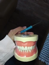 Modelo de enseñanza Dental de Modelo Dental, modelo estándar con mordedores de 32 tornillos, goma dura suave, 28 y 24 dientes