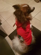 Christmas Dog Clothes Small Dogs Santa Costume for Pug Chihuahua Yorkshire Pet Cat Clothing