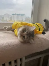 Pajamas Hoodie Cat-Costume Dog-Coat Puppy Cosplay SUPREPET Winter Cute Autumn Cartoon