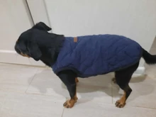 Dog Winter Bulldog-Coat Chihuahu Small French Outfit Puppy Medium Warm 