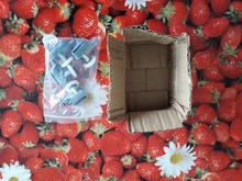 Juego de 4 Uds. De polea de cabinas, Roller para ducha, corredores, ruedas, poleas de 20mm/22mm/23mm/25mm/27mm