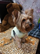 Ropa cálida de invierno para perros pequeños, medianos y grandes, chaleco para perros, chaqueta, Ropa de otoño para cachorros, trajes, Ropa de Perro