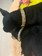 Personalized Dog Collar Leather Rhinestone Bling Charms Custom Pet Dogs Cat Name