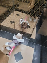 Cute Rabbit Design Dog Hoodie Winter Pet Dog Clothes For Dogs Coat Jacket Cotton Ropa