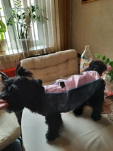 Chaqueta de perro pequeño para invierno, chaleco impermeable para cachorro, ropa para mascota de algodón caliente, atuendo para perros pequeños y medianos
