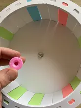 Running-Disc-Toy Hamster Exercise-Wheel Sport Pet 1pcs Totoro Funny