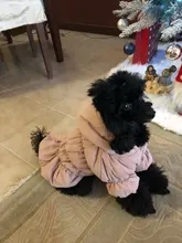 Hoodie Coat Outfit Warm-Dress Girl Dog Winter Princess New Floral 6-Sizes Bubble-Skirt