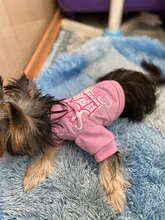 Shirt Outfits Dogs-Costume Dog-Vest Puppy Cotton Cheap Cute for Perro Ropa