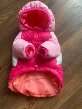 Outfit Jacket Hoodie Dog Warm Waterproof Winter Coat Splice Pet-Puppy 6-Colours 8-Sizes