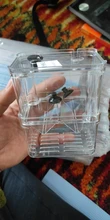 Boxes Hatching-Incubator Tanks Betta Isolation Acrylic Aquarium Fish-Tank-At001 Fish-Breeding