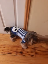 Dog Winter Sweater Pet-Dog Puppy-Cat Knitted Chihuahua for Small Clothing Ropa-Perro