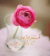 2 Din auto Radio de Audio Fascia apto para Renault Megane 2 II 2002, 2003, 2004, 2005 - 2009 estéreo Marco de Panel de Dash de instalación