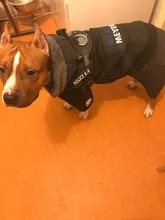 Dog-Coat Winter HOOPET for Dogs Clothing Warm Christmas Big