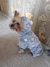 Pet Clothing Costume Outfit Pajamas Fleece Winter Apparel Small Warm 30 Four-Legs Jumpsuit