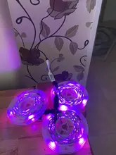 Bluetooth LED Strip Light SMD 5050 RGB led ribbon Flexible Waterproof LED Light 5M 10M