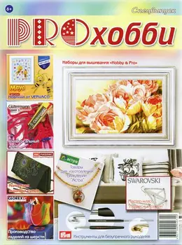 

Pro hobby magazine