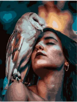 

Painting by numbers paintboy OK 10067 girl and owl 40x50 cm