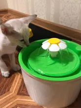 Bowl Pets-Drinker-Feeder Water-Dispenser Dog-Water-Fountain Cat Automatic USB Mute Electric