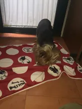Manta superFranela suave para mascotas, cama gruesa para cojín de perro, toalla de ducha para cachorro, alfombra bonita para el hogar, cubierta cálida para dormir, suministros para mascotas