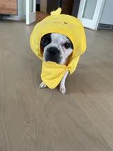 Pet-Dog-Cat-Towel Bathrobes Blanket Puppy Pets-Drying Super-Absorbent Cute with Hoodies