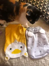 Shirt Costume Vest Cat Outfit Carton Cats Sweet Kitten Autumn/winter for Kedi-Clothing