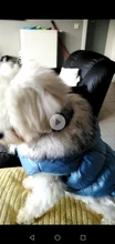 Dog Cat Winter Warm Coat Jacket Dress Pet Puppy Hoodie Winter Warm Clothes Apperal