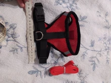 Cat-Harness Leash Mesh Bulldog Cats Small Dog Kitten Chihuahua French Breathable Nylon