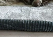 Big Dog Couch Sofa-Beds Kennel Cushion German Shepherd Large Puppy Pet-Cat-Dog Small