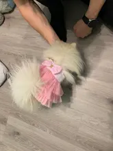 Dress Sling Puppy-Costume Pet-Dog Lace Small Dog Wedding for Party Birthday Bowknot