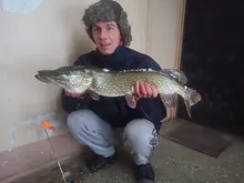 Alicates de esponja de acero inoxidable, alicates médicos de corte, ovalados, ovalados, coderas rectos, sin dientes, Clip de esponja de 25cm