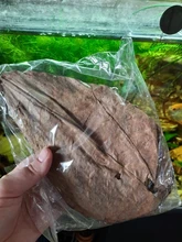 Betta Fish Shrimp Aquarium Almond-Leaves Natural Indian 10pcs Habitat Terminalia Kill-Bacteria
