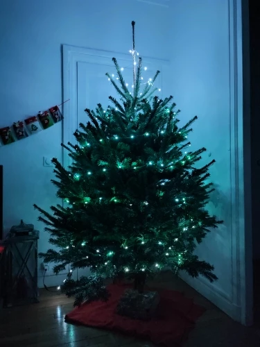 Christmas Tree Lights That Sync With Music 2022