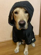 Dog-Coat Winter HOOPET for Dogs Clothing Warm Christmas Big