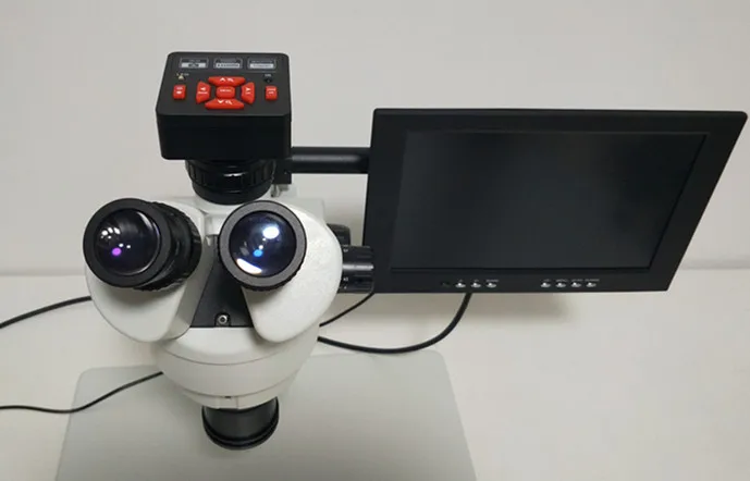 IMG20190804204235