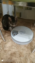 Pet-Feeder Cat-Dispenser Automatic Food-Feed-Tool Dry with Voice-Remind 6-Grids/pet 24h-Timer