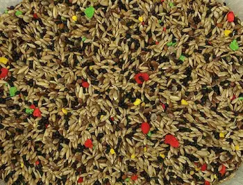 

Food for Canaries bulk mix VINCI