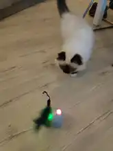 Toy Cat-Toy Ball-Rolling Productos Interactive Electric Colorful Automatic Para Led Ear