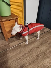 MySudui Medium Big Dog Winter Clothes For Dogs Pets Clothing Reflective Dog Jackets Outdoor