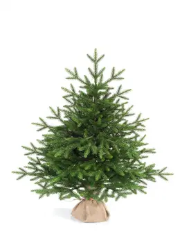 

Fir artificial king Christmas tree Eva 100 cm