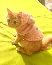 Cat Jacket Costume Yorkshire-Clothing Kitten Winter Warm for Small Medium Dogs Chihuahua