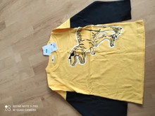 Camisetas para niños, camiseta para niños, niñas, niños, camisa para niño, dinosaurio para niño, camisetas de algodón con dibujos animados, ropa camisetas camiseta poleras polera