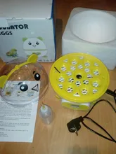 9 Eggs Incubator Intelligent Breeding Professional Brooder Birds Automatic Thermostat